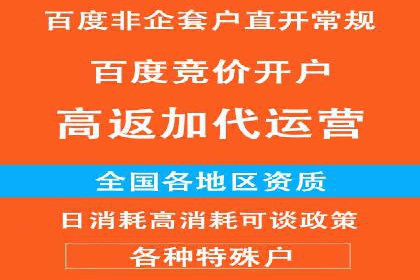 行业领先企业如何通过SEM推广代运营提升业绩